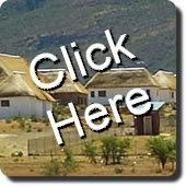 Large Thatching Projects