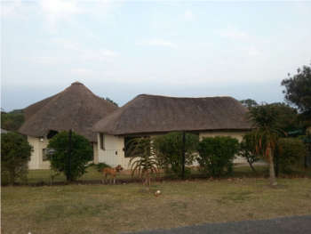 Thatch Roof before conversion