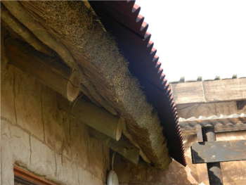 Onduline Over-Sheeting on Leaking Thatch Roof