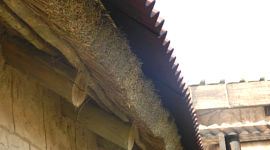 Onduline oversheeting on thatch roof