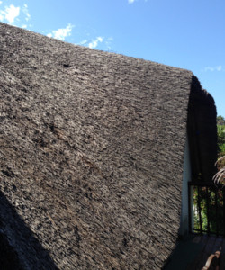 Curves and contours of the original thatched roof
