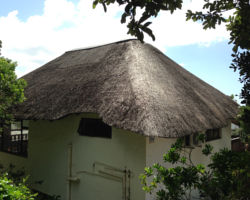 Original thatched roof