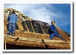Thatch Fire Protection - Fire Retardant Blanket