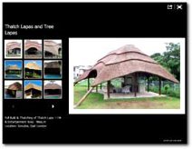 Thatch Lapa and Entertainment Area image gallery