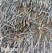 Cintsa Thatching - Thatched Roof Maintenance