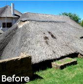 Cintsa Thatching - Thatched Roof Maintenance